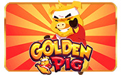 pp image